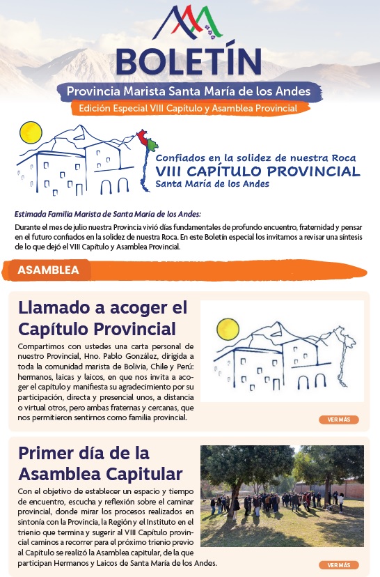 Boletn Especial VIII Captulo Provincial 